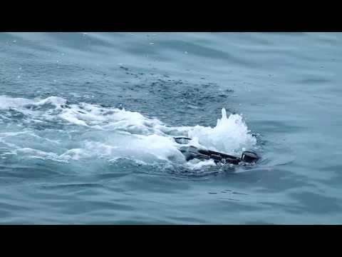 The SRV-8 Underwater ROV - Geo-matching