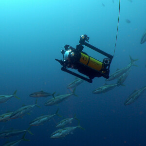 Boxfish research Boxfish Luna ROV's - Compare with Similar Products on Geo-matching.com