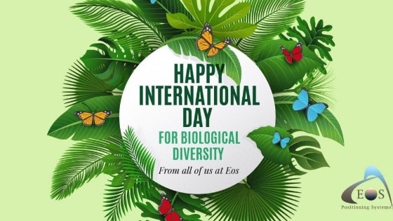 international-biological-diversity-day-1024x536-1.jpg