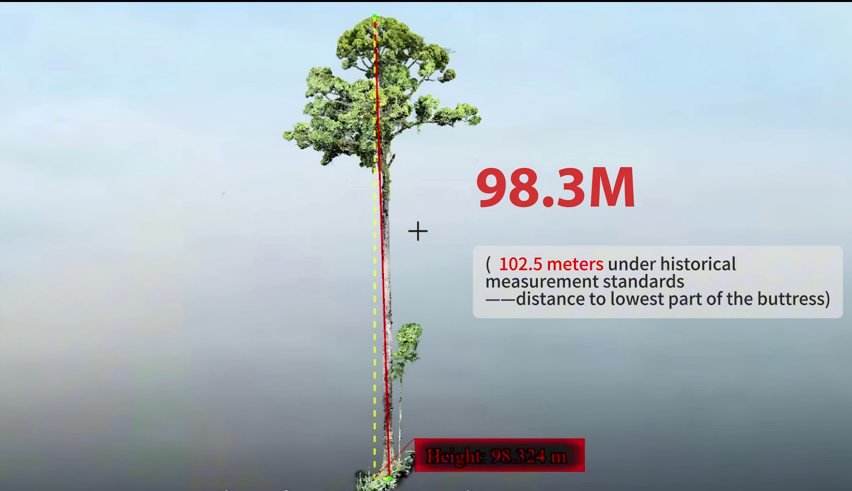 How GreenValley LiDAR Revealed the World’s Tallest Tropical Tree? - Geo ...