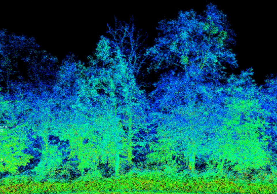Forestry Management Using LiDAR - Geo-matching