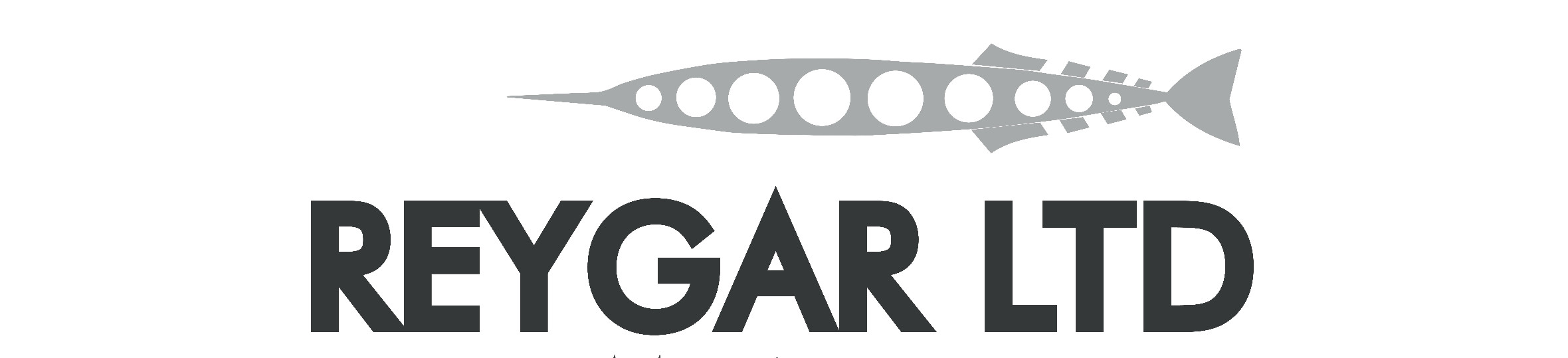 Reygar Ltd - Geo-matching