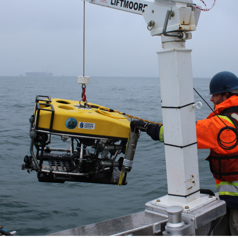 EIVA ScanFish XL - Compare with 60 other ROVs - Geo-matching