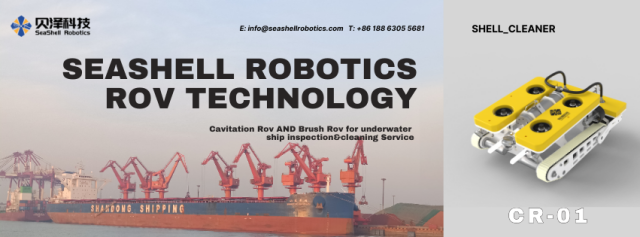 Seashell Shipclean ROV CR-01 - Geo-matching