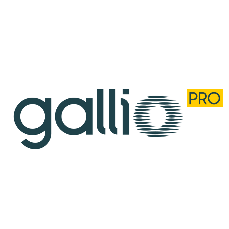 Gallio PRO - video and photo anonymization software - Geo-matching