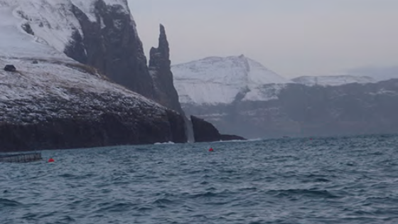 Sentinel V Plays a Role in Improving the Quality of Marine Food - Geo ...