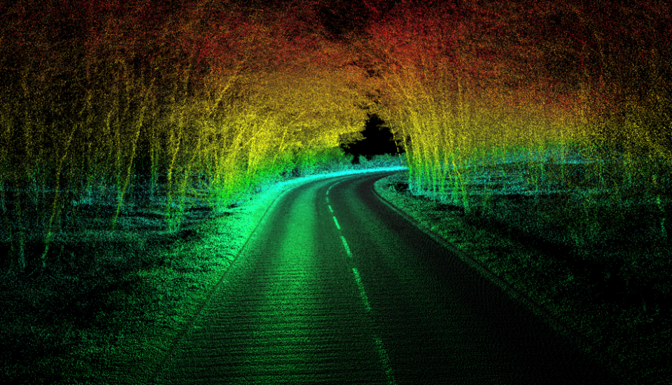 Road - Tree Canopy Pointcloud.png