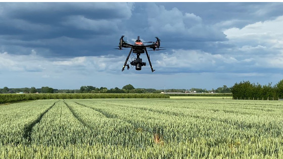 Using Drones and AI for High Throughput Phenotyping in Experimental ...
