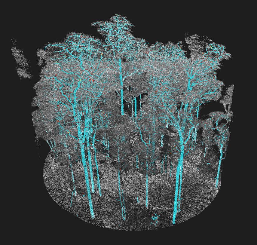 LIS Forestry Addon - Geo-matching
