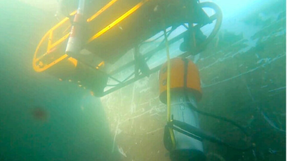 underwater-shot-of-depth-profiling-on-the-swanbot.jpg