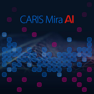 CARIS Mira AI - Sonar Noise Classifier