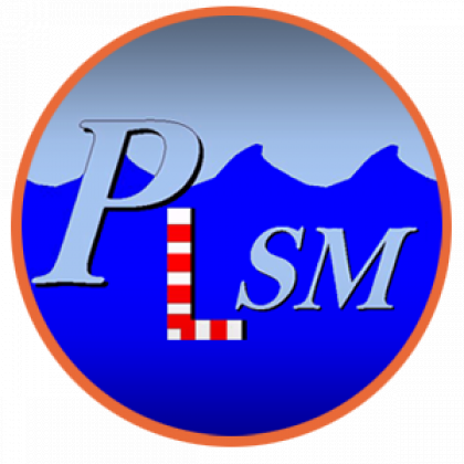 PLSM Instrumentation