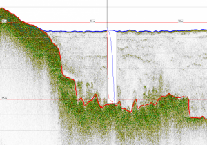 Silas Processing | Geophysical high resolution software