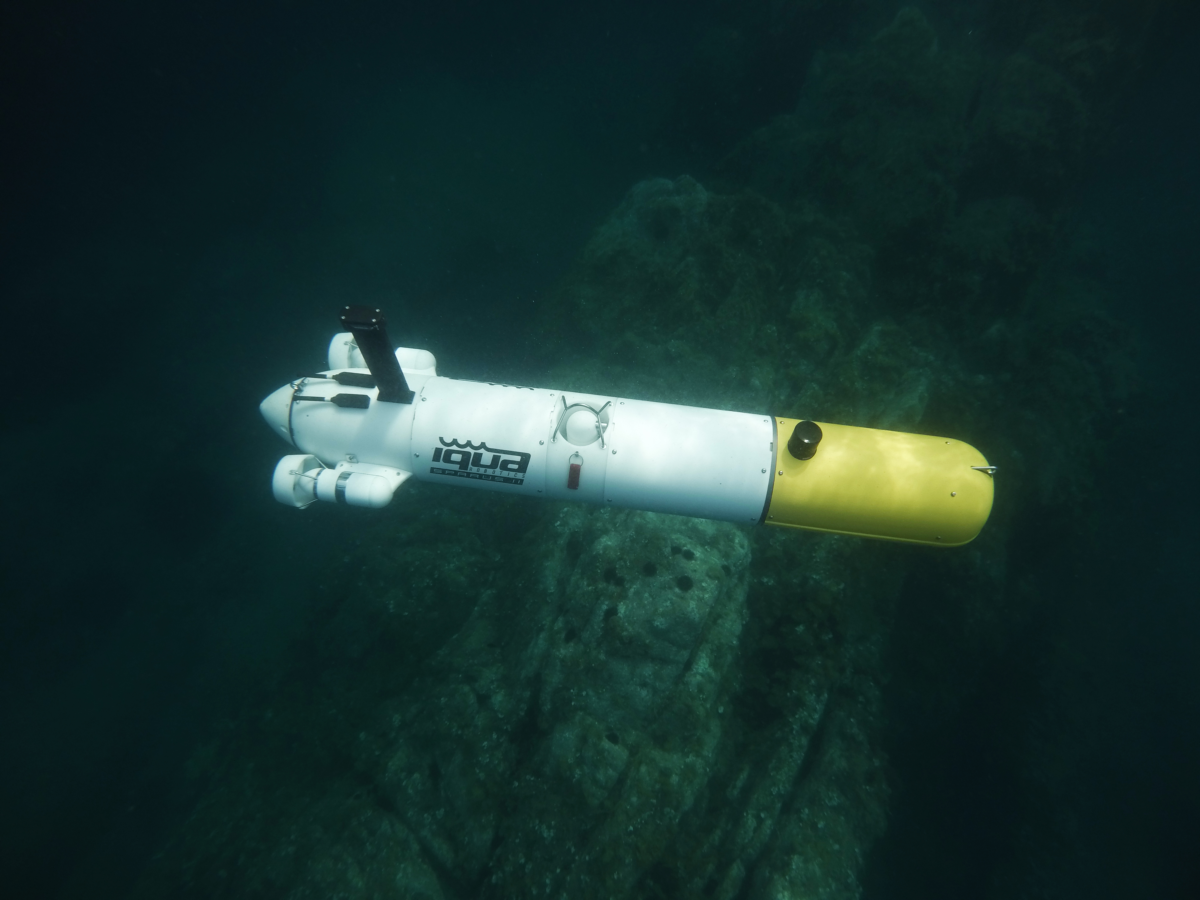 Hydroid REMUS 6000 - Geo-matching