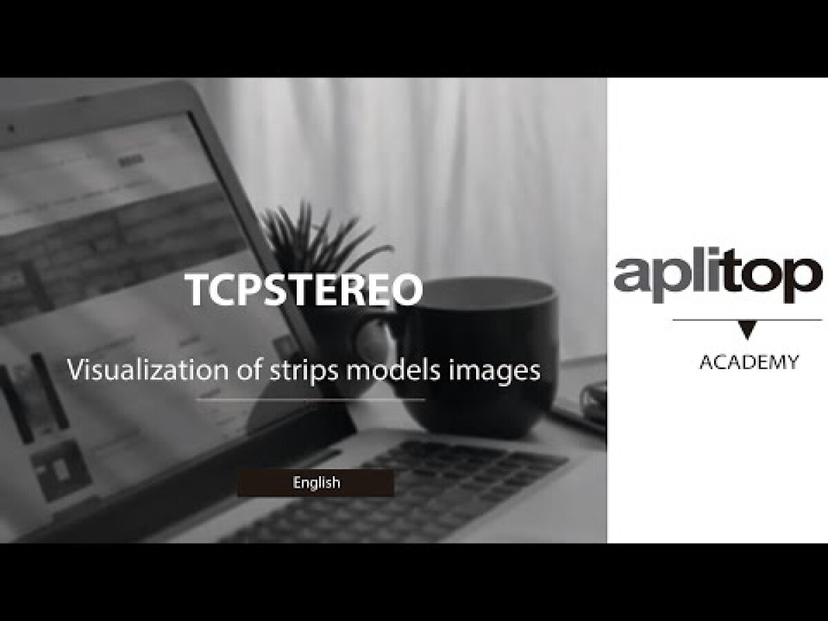 TcpStereo | Visualization of strips models images - Geo-matching