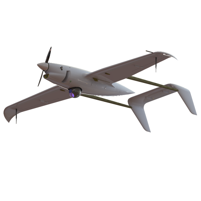 Raybird-3 UAS