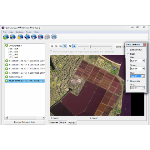 LizardTech - Geo-matching