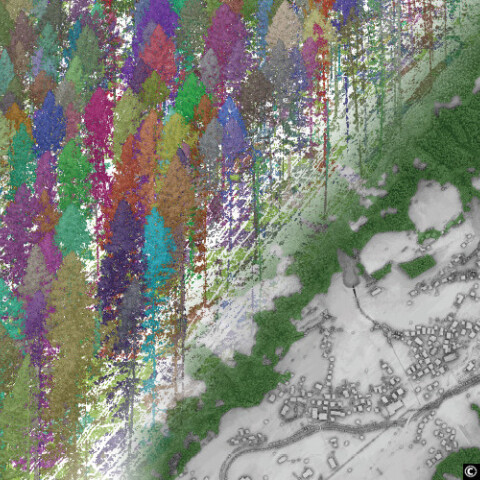 Trion Model Point Cloud Processing Software - Geo-matching