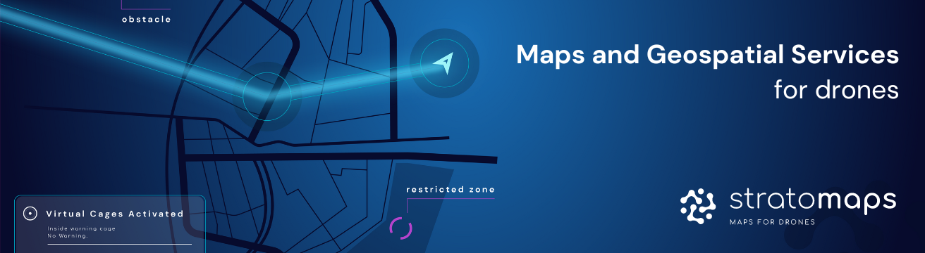 Maps and Geospatial Services.png