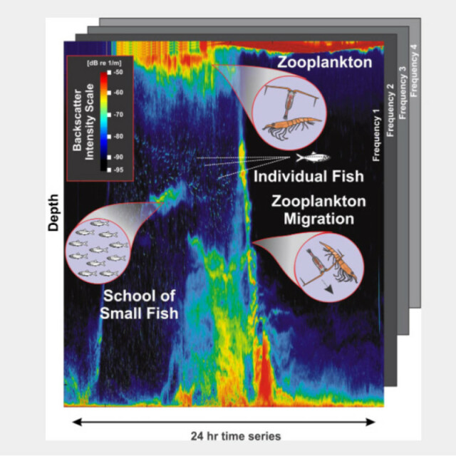 Acoustic Zooplankton Fish Profiler (AZFP)