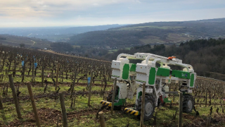 advanced-navigation-s-gnss-compass-ensures-precise-heading-for-agricultura-lvineyards-robot.png