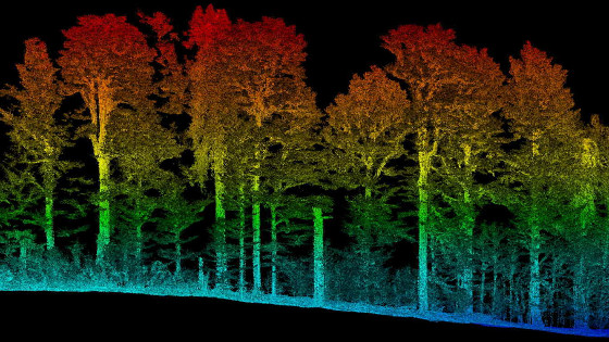 Biomass Calculation Using the Aeroscout Helicopter Equipped with a ...